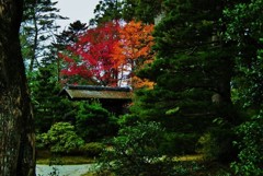 修学院