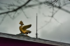 鳳凰