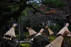 蓑掛けの森