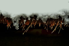 雪解け