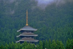 深山