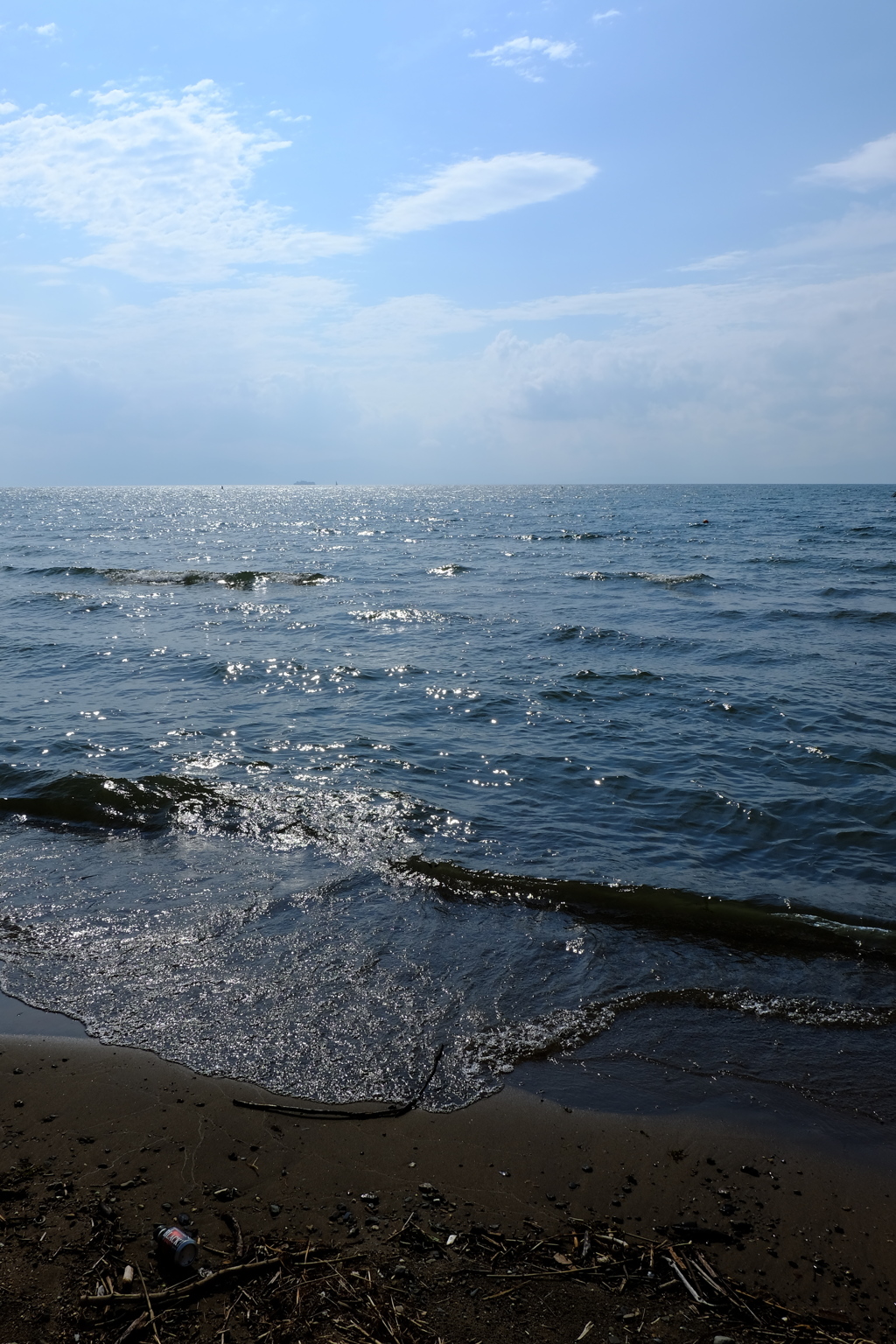 琵琶湖の夏