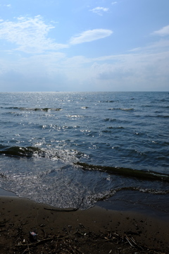 琵琶湖の夏