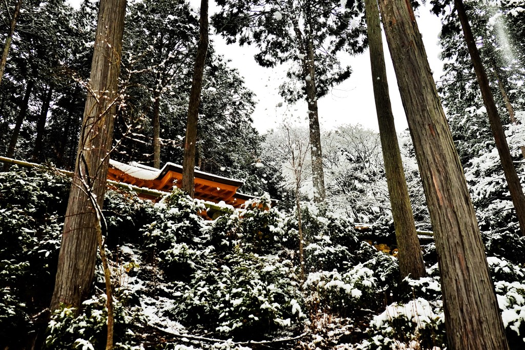 雪中社