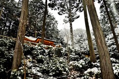 雪中社
