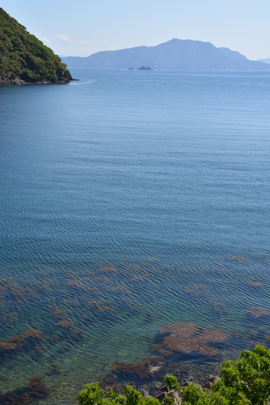 初夏の海