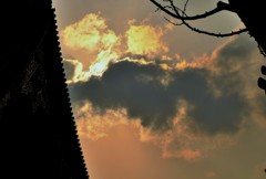 夕雲