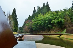 緑のデザイン