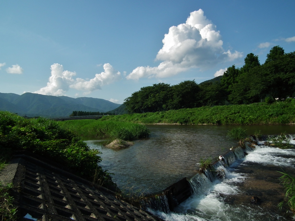 夏の川
