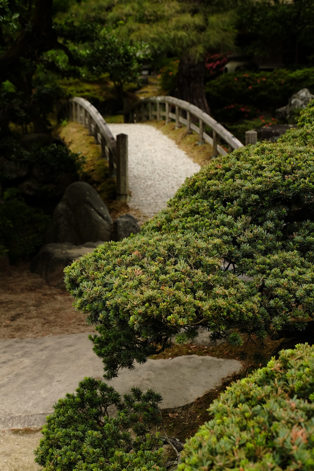 寂び