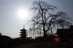 黄昏