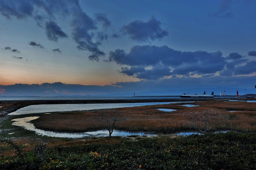 南港ラムサール