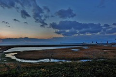 南港ラムサール