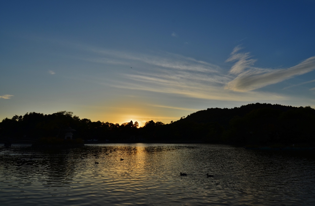 三島池夕暮れ