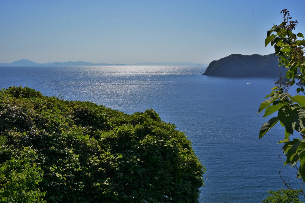 光る海