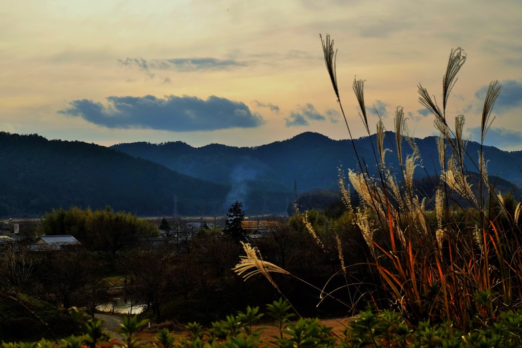 里山