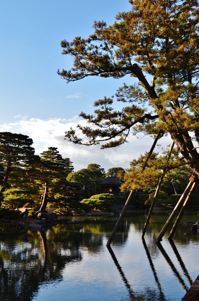 離宮の池
