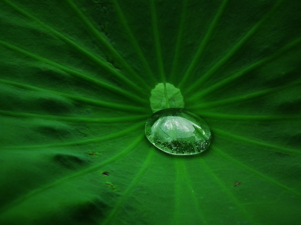 水溜り