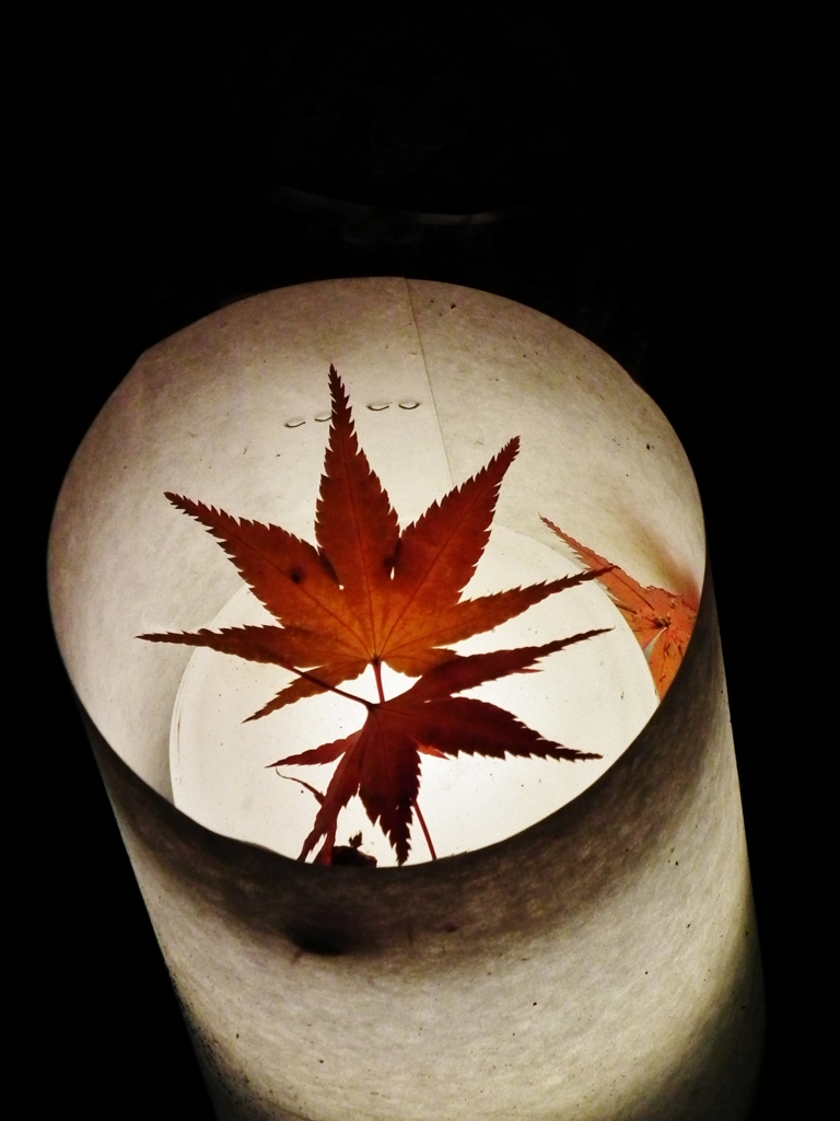 紅葉灯火
