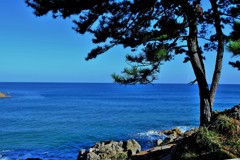 山陰海岸ジオトープ/水平線