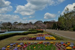 花壇