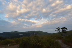 秋吉台の朝