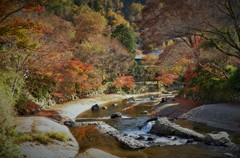 高野川