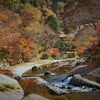 高野川