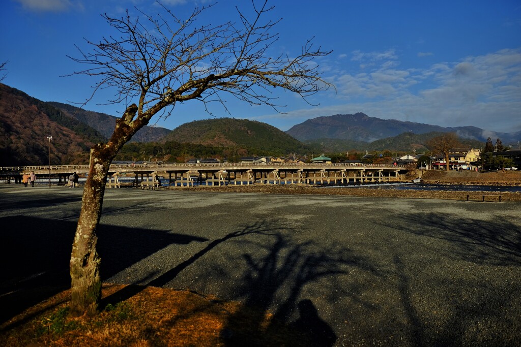 渡月橋
