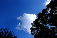 ちらっと空