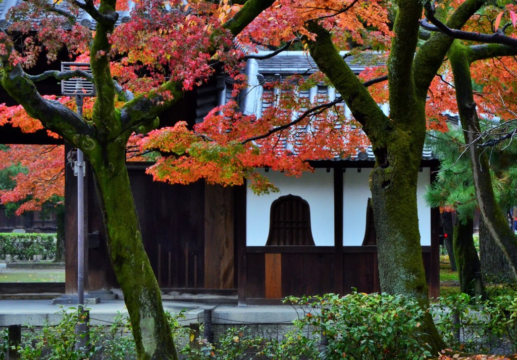 秋寺