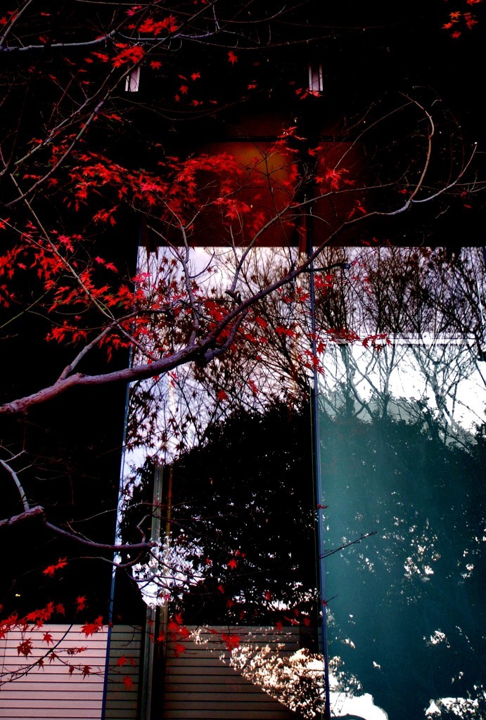 窓の秋