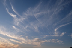 涼雲