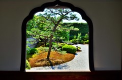 覗景