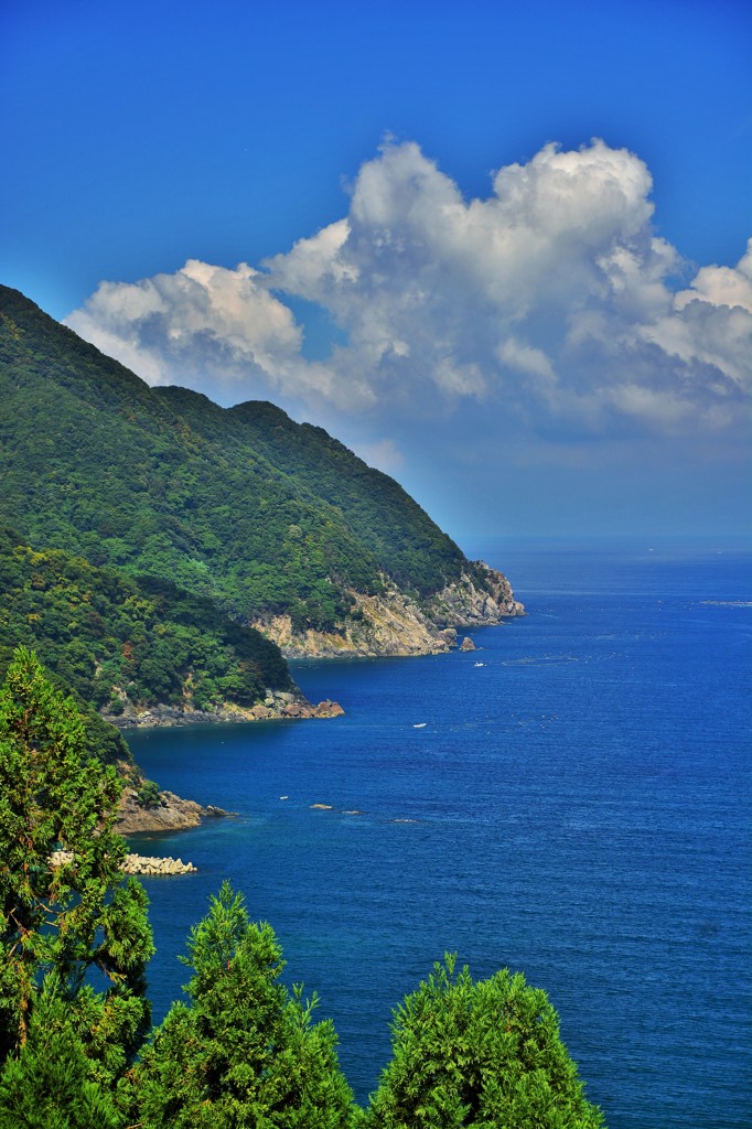 海岸線
