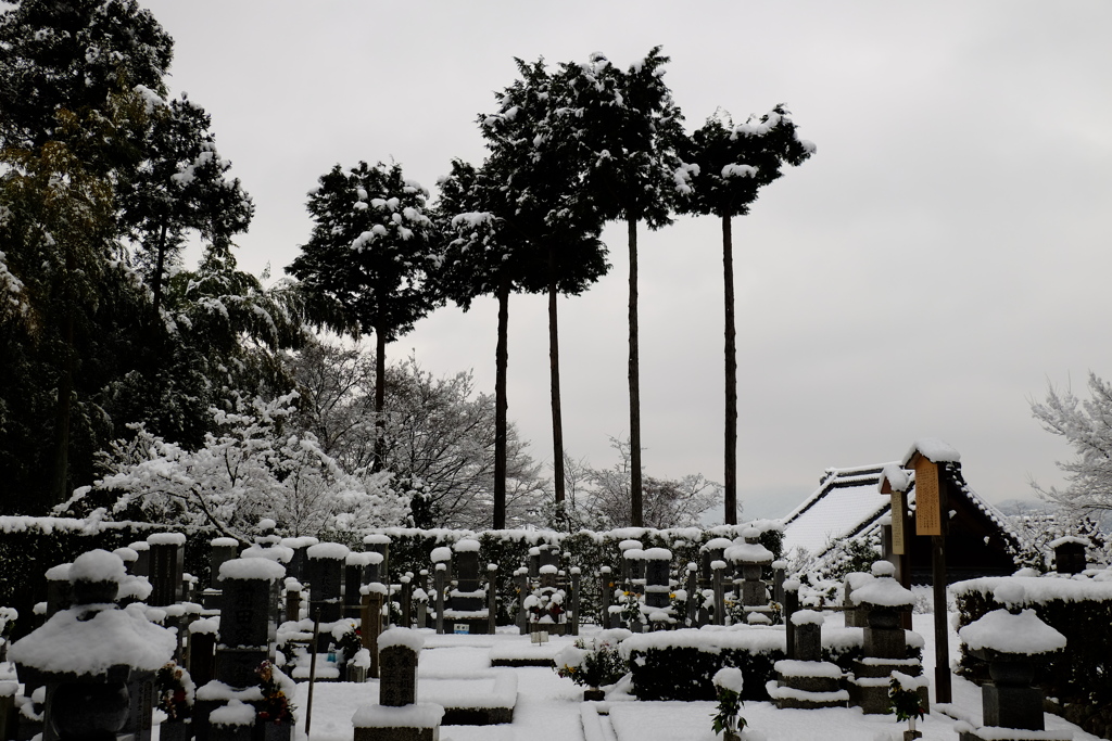 雪景