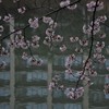 池面