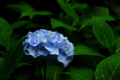 神秘の青