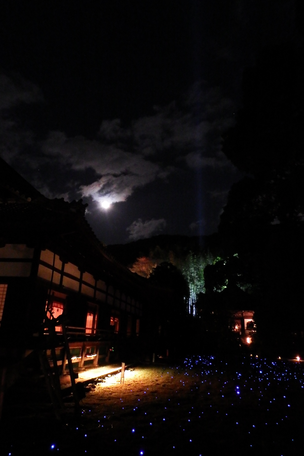 月景