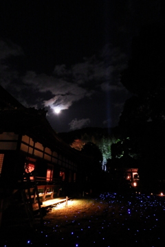 月景