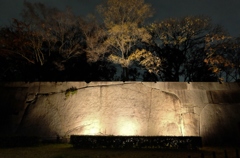 １３０屯の城壁
