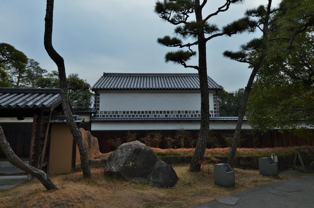 幹と石
