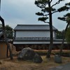 幹と石