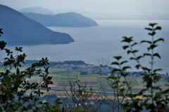 海津大崎