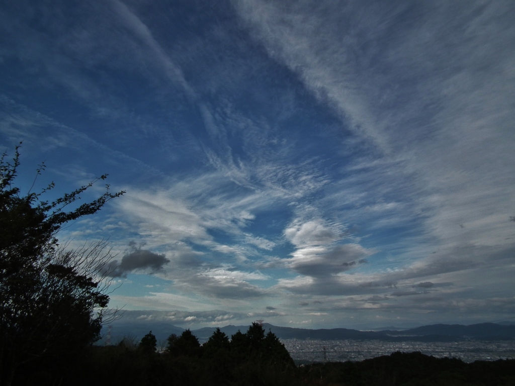 秋空