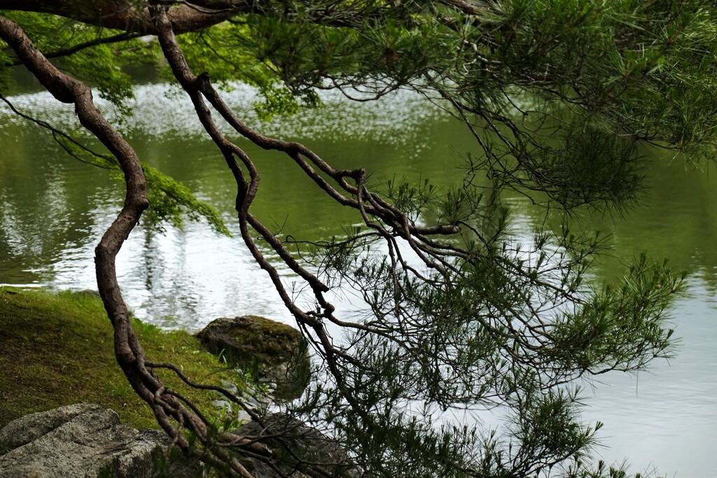 美枝
