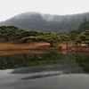 ゆらぎの池