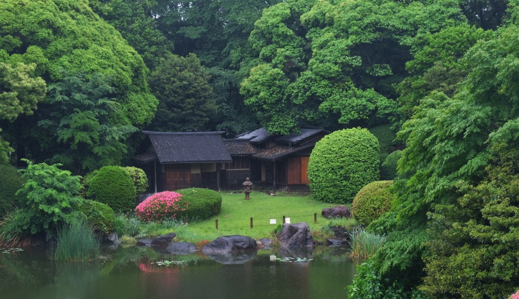 博物館の庭