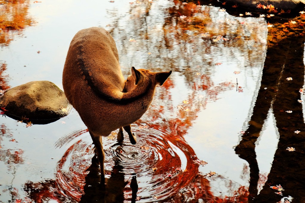 水遊び