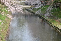 静かな春
